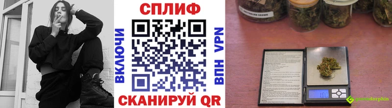 Конопля индика Тара